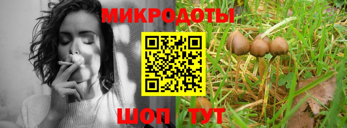 Химки  Галлюциногенные грибы мицелий  Галлюциногенные грибы Cubensis  Вход с VPN 